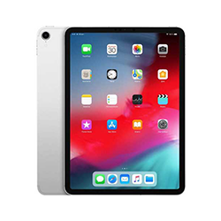 iPad Pro 11 2018 Reparatur
